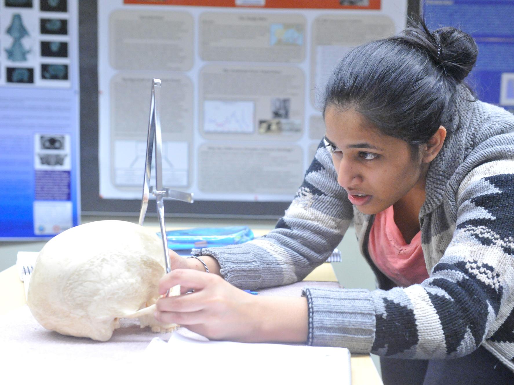A student measuring a skull