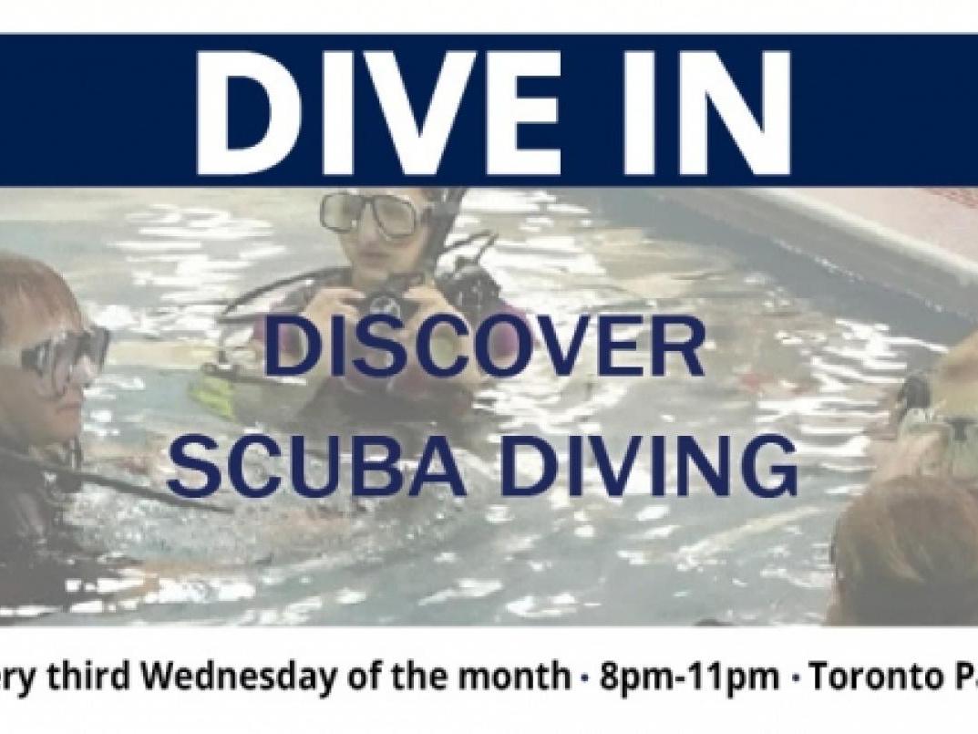 Dive in scuba diving