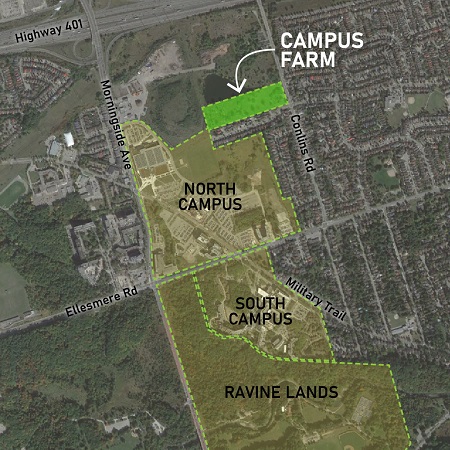 map view of UTSC Campus Farm and surrounding neighbourhood
