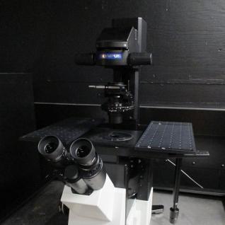 Epifluorescence Inverted Microscope-1