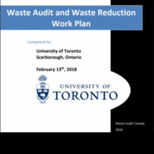 waste audit report