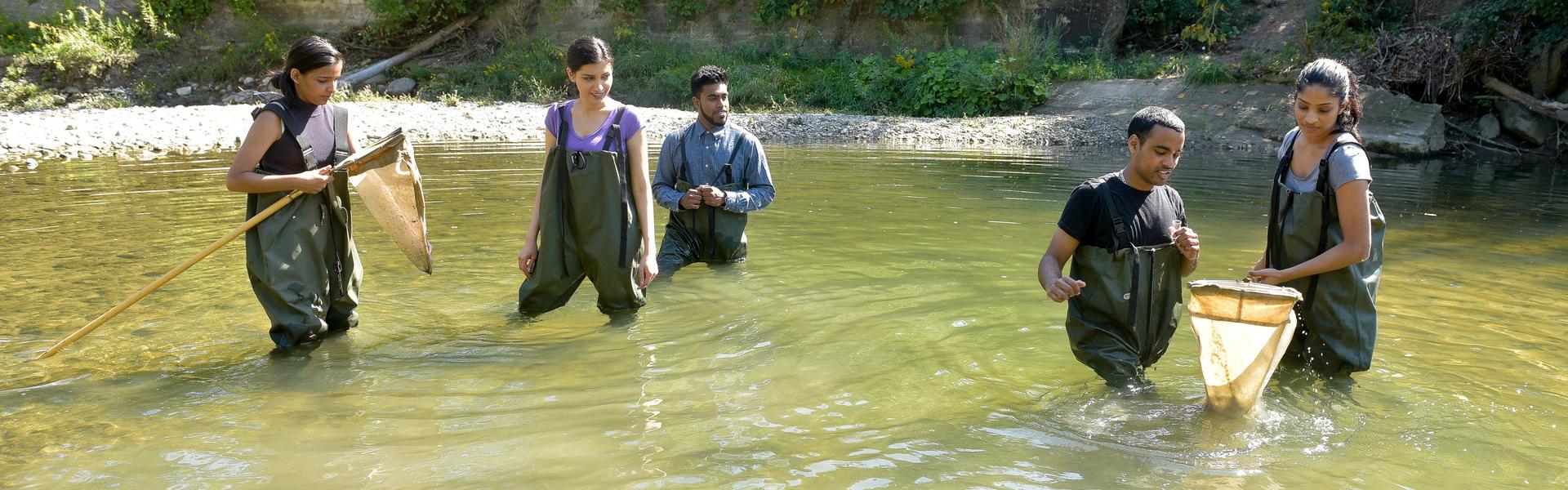 Students on a field trip in the water at the base of an incline, with nets