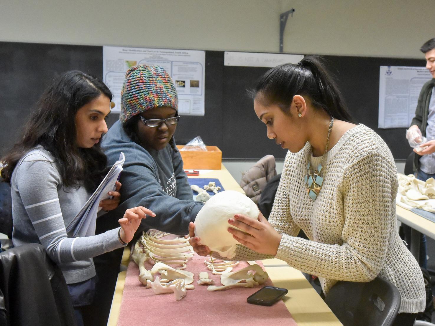 Three students in an anthropology lab examining a skull