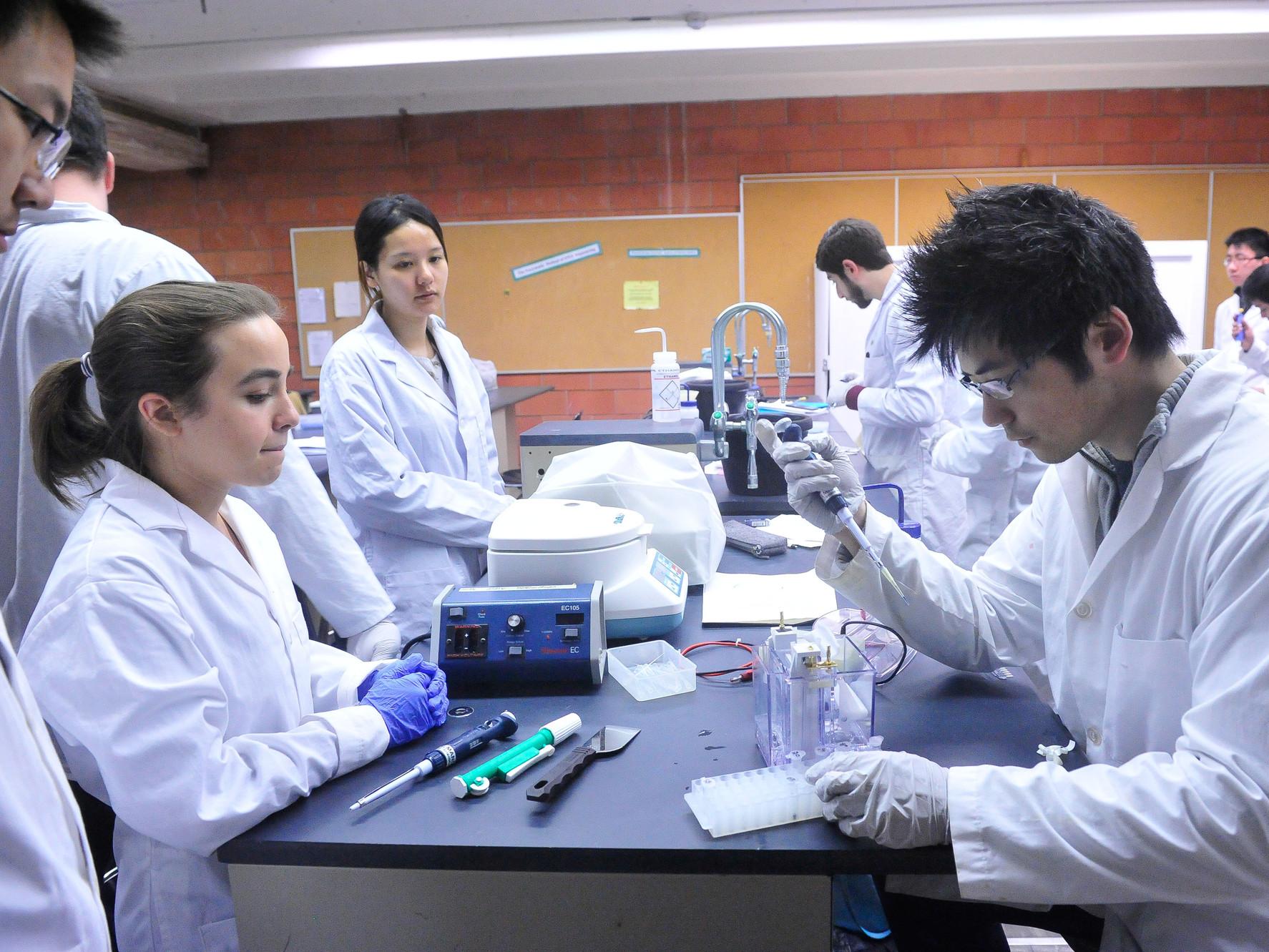Three students in a lab performing an experiment, with a dropper