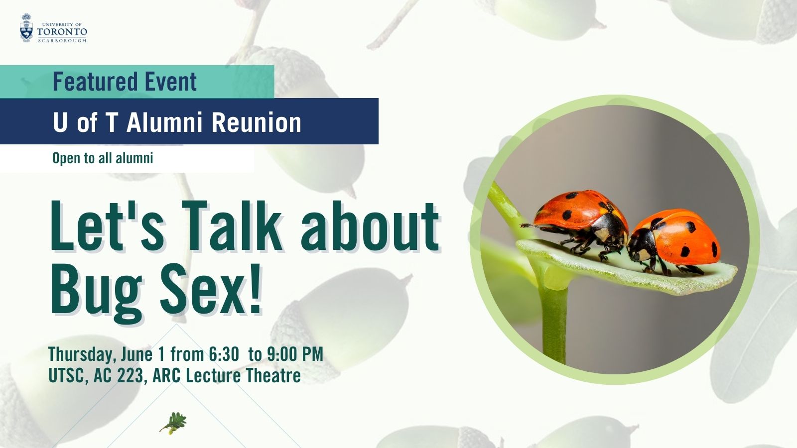 Lets talk about bug sex poster, featuring two lady bugs