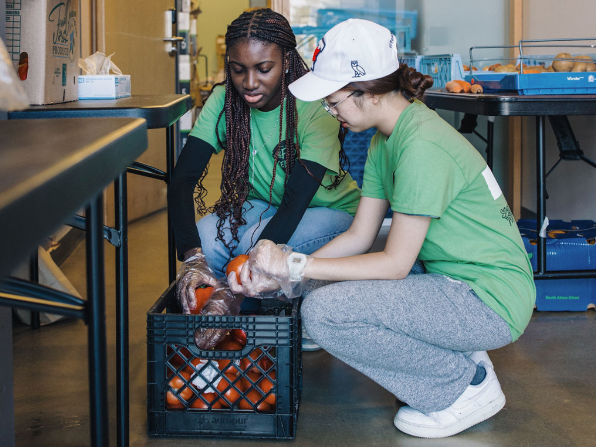 two volunteers in green SCSU shirts squat over a basket of apples while sorting apples