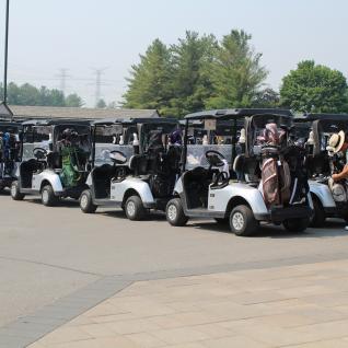 rows of golf carts ready for players