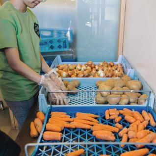 A volunteer sorts vegetables, putting carrots, onions and potatoes in blue coloured baskets