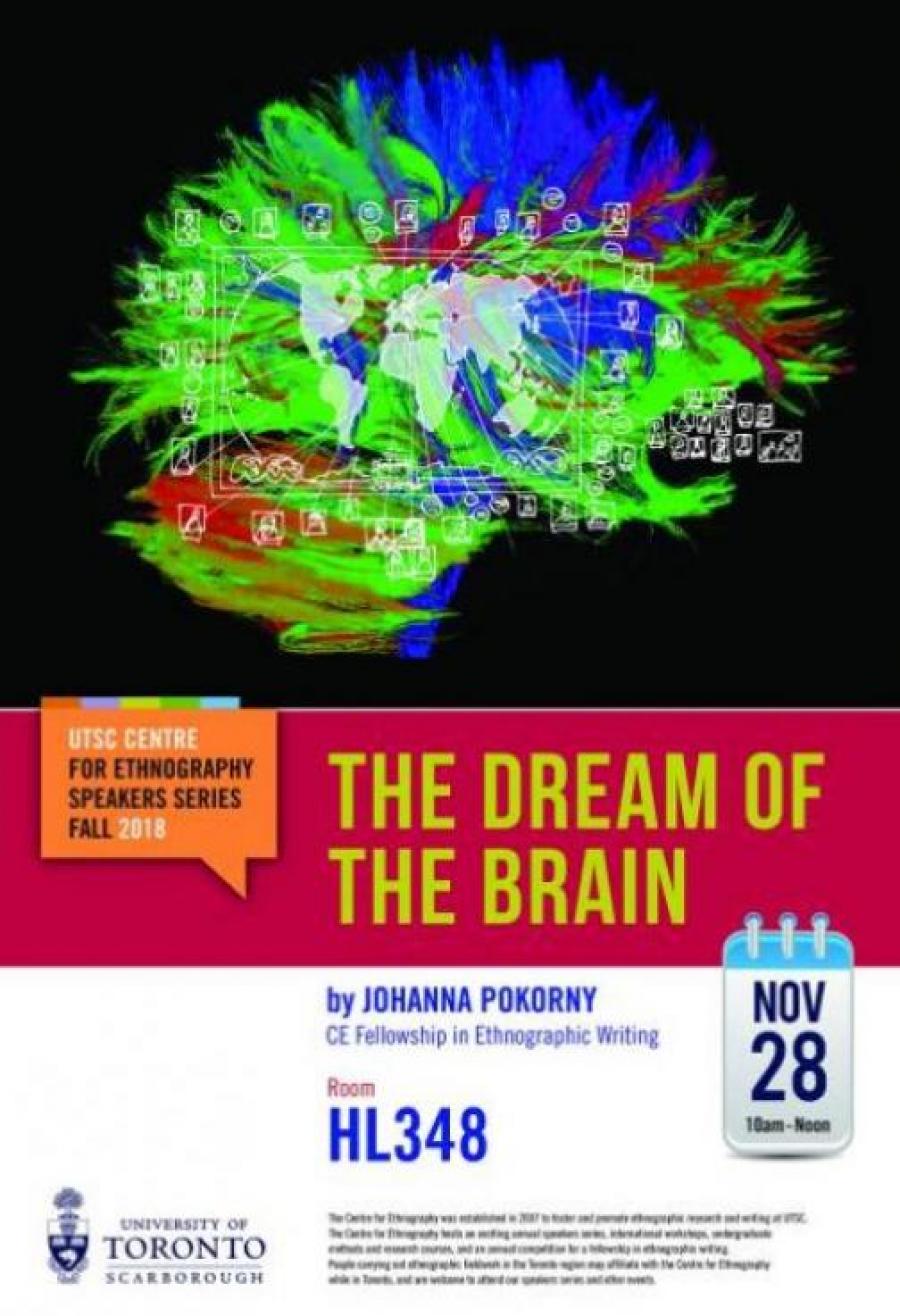 The dream brain