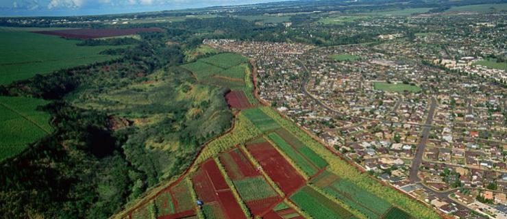 bird's eye view of a field and residential area