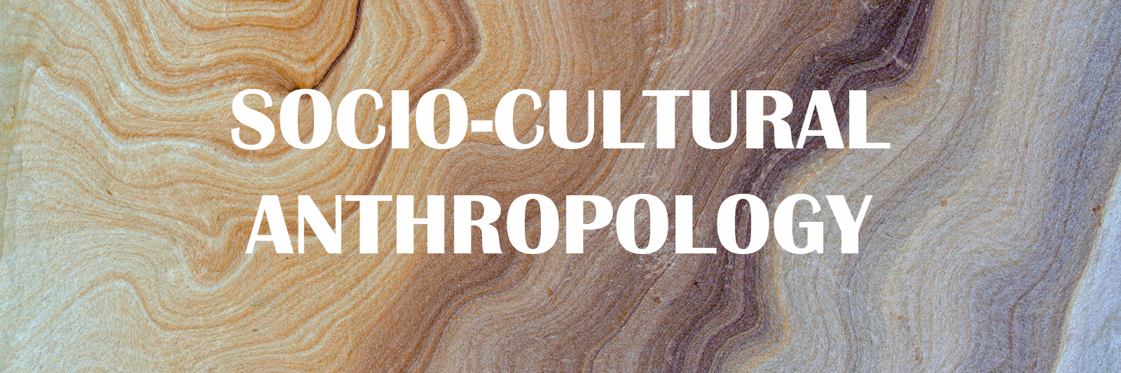 Socio-cultural Anthropology
