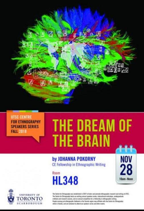 The dream of the brain