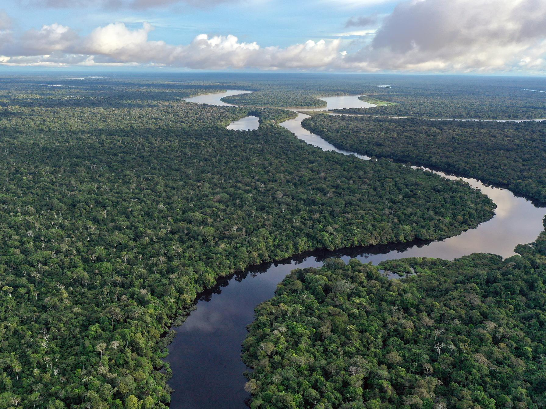 Vista of the Amazon River, meandering through dense rainforest