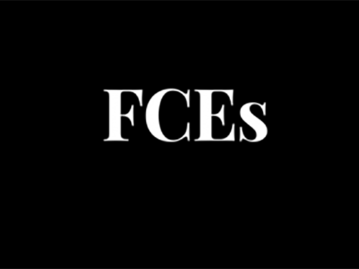 Acronym that says FCEs