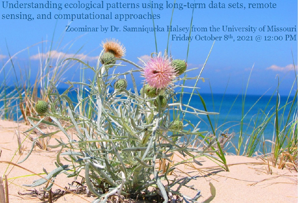 Understanding ecological patterns using long-term data sets, remote sensing, and computational approaches