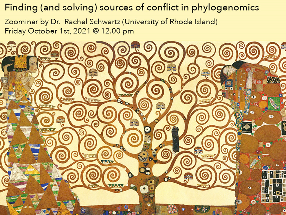 Finding (and solving) sources of conflict in phylogenomics
