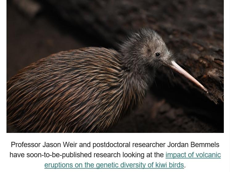 Professor Weir (kiwi birds article)