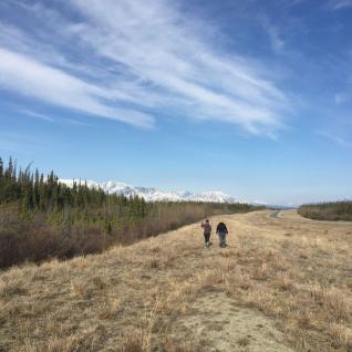 Boonstra's Lab: Studying Stress in Canada's Beautiful North