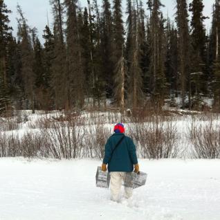 Boonstra's Lab: Studying Stress in Canada's Beautiful North