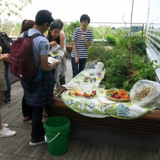Student gathering around a buffet at the rooftop garden