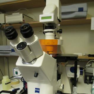 Apotome Optical Sectioning Microscope