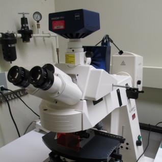 Epifluorescence Upright Microscope (Zeiss)-1