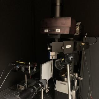 Multi-Photon Microscope (Scientifica)