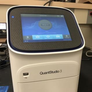 Real-Time PCR System (QS3)