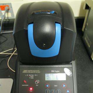 Real-Time PCR System (Old)-1