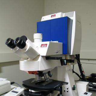 Laser Scanning Confocal Microscope (Upright)-1