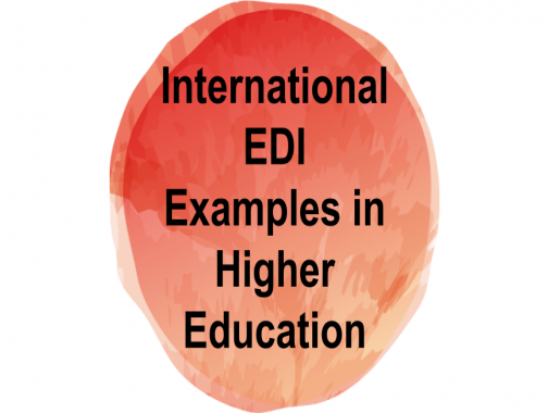 International EDI Examples in Higher Education