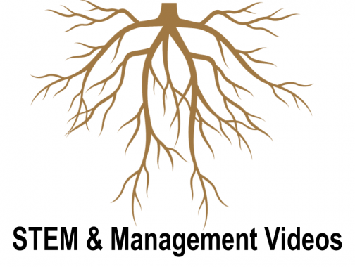 Stem and Management Videos
