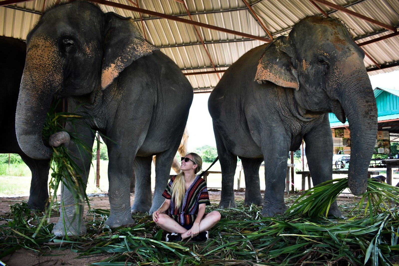 Olivia with elephants