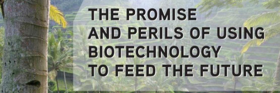 The promise and perils of using biotechnology to feed the future