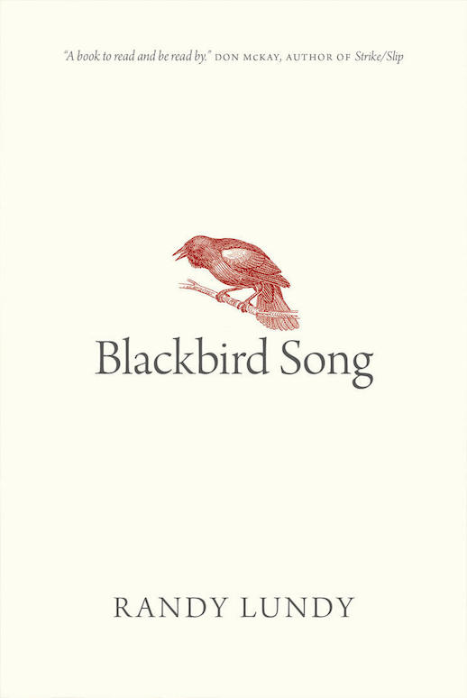 Lundy Blackbird Song