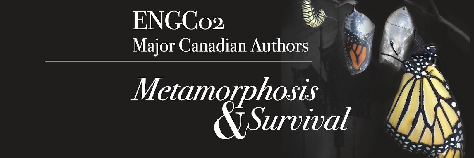 ENGC02: Major Canadian Authors - butterflies against black background