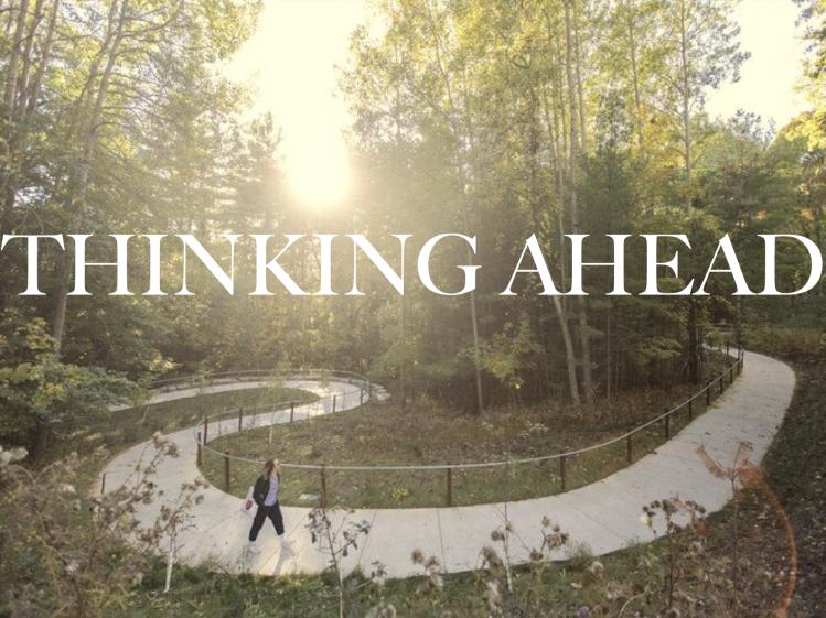 "Thinking Ahead": The UTSC Valley trail winds through the woods in the late-day sun