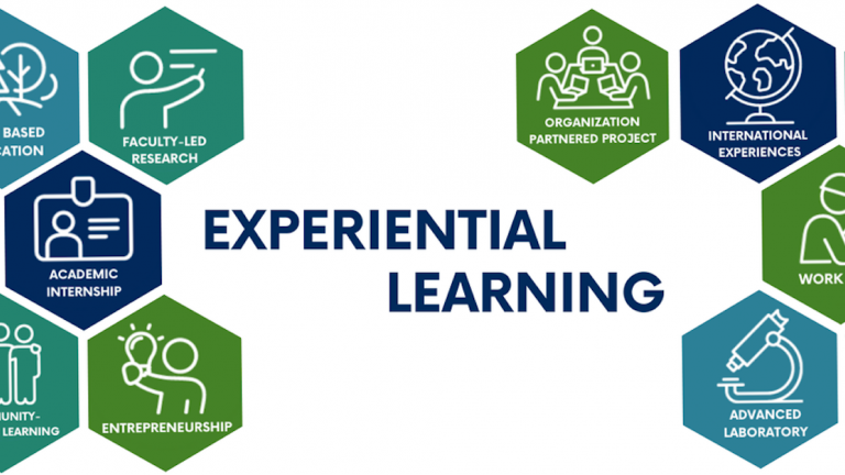 Experiential Learning types in small icons aligned to look like a hive