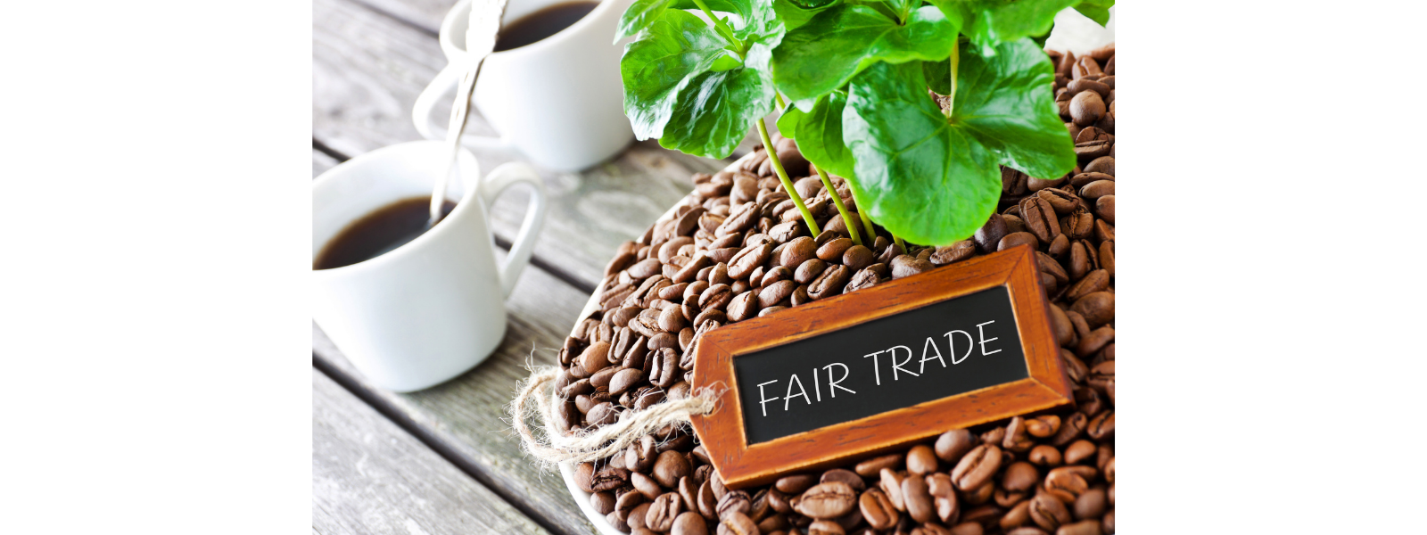 fair trade coffee and coffee beans