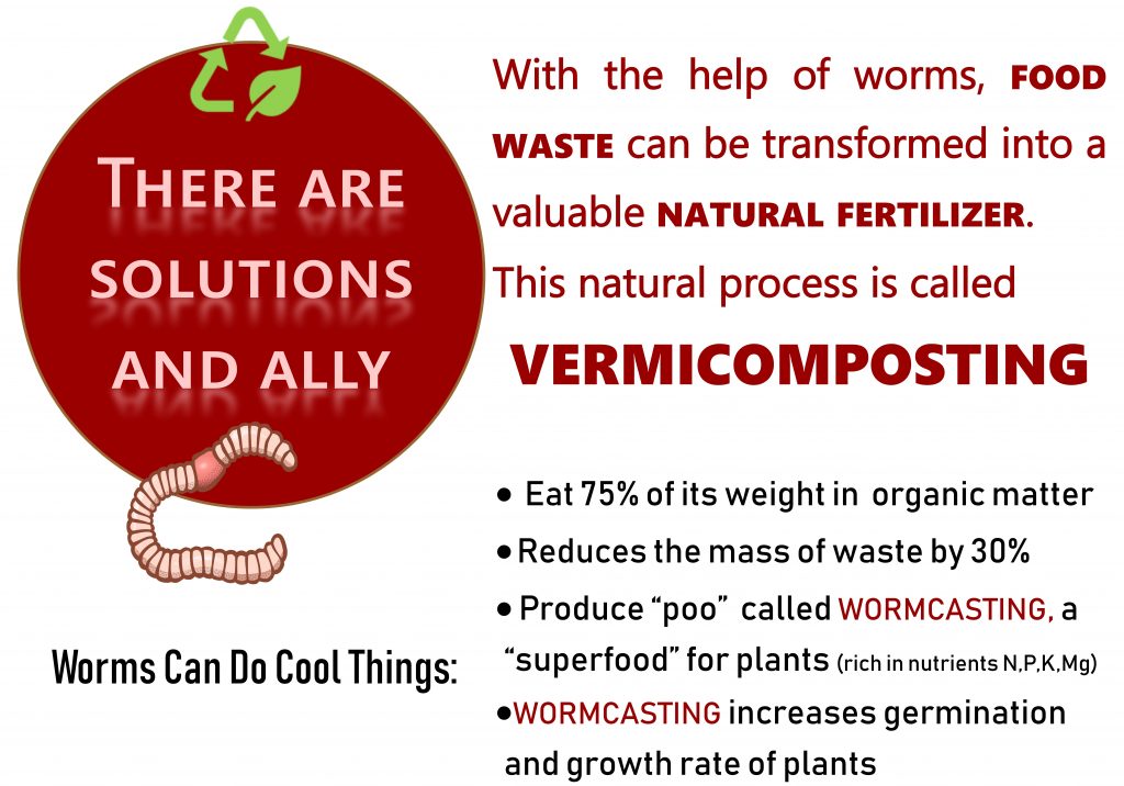vermicomposting worm information