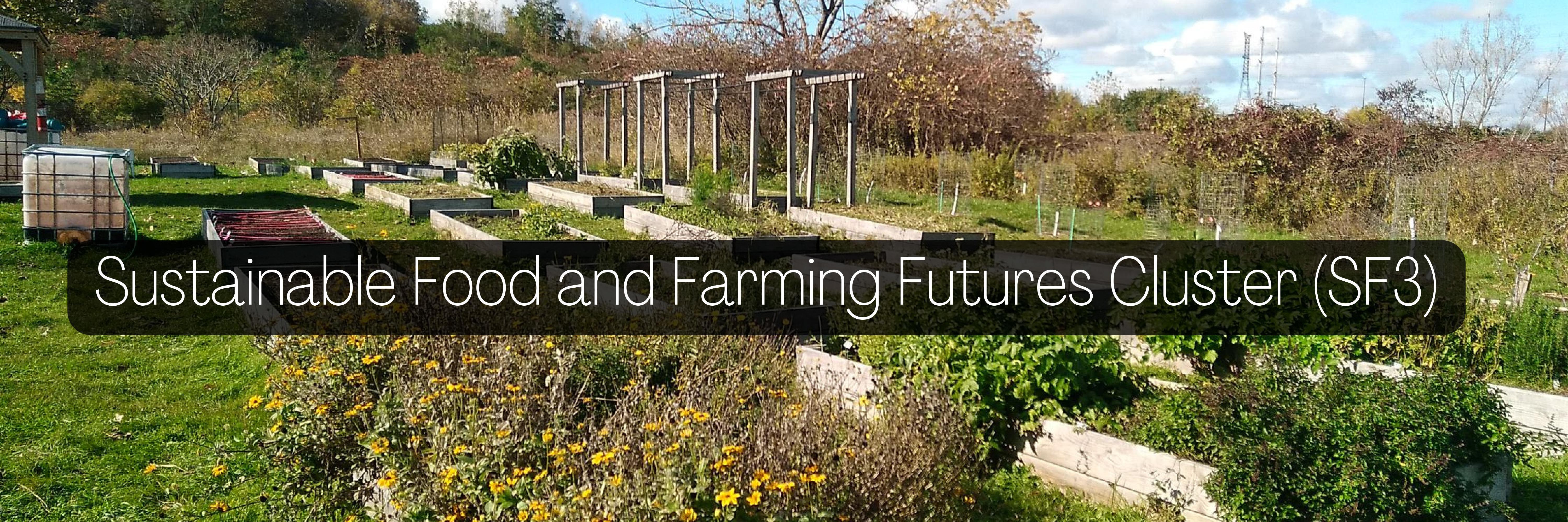 image of gardens with words Sustainable Food and Farming Futures Cluster overlaid