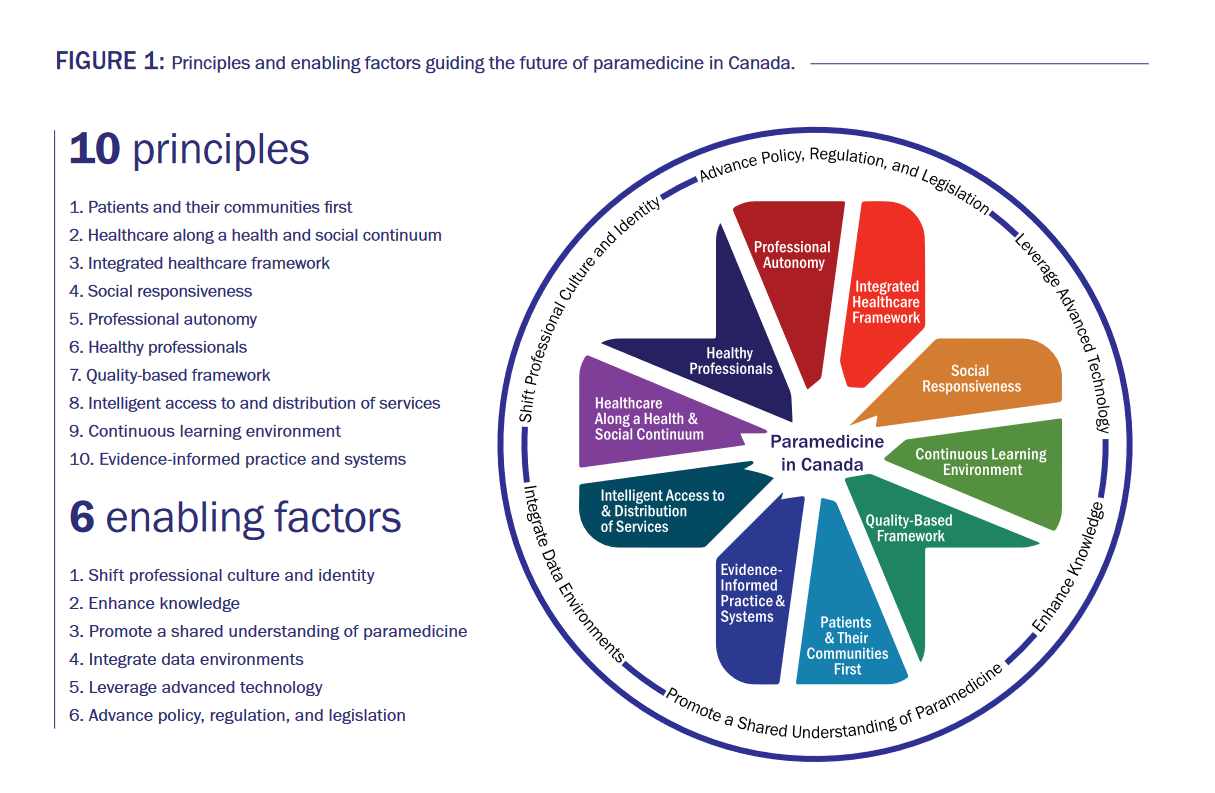 10 principles and 6 enabling factors infographic
