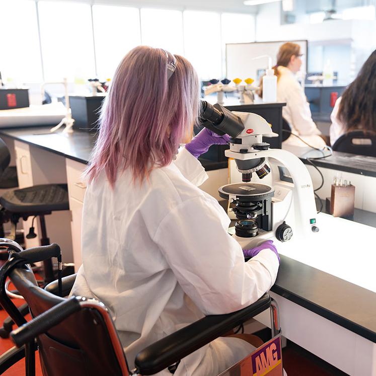 A femme-presenting scientist with pink hair sits in a wheelchair looking into a microscope