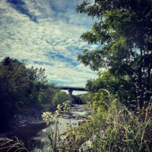 A bridge over a creek