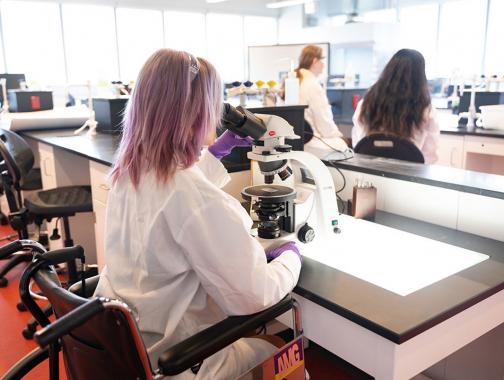 A scientist with pink hair sits in a wheelchair looking into a microscope