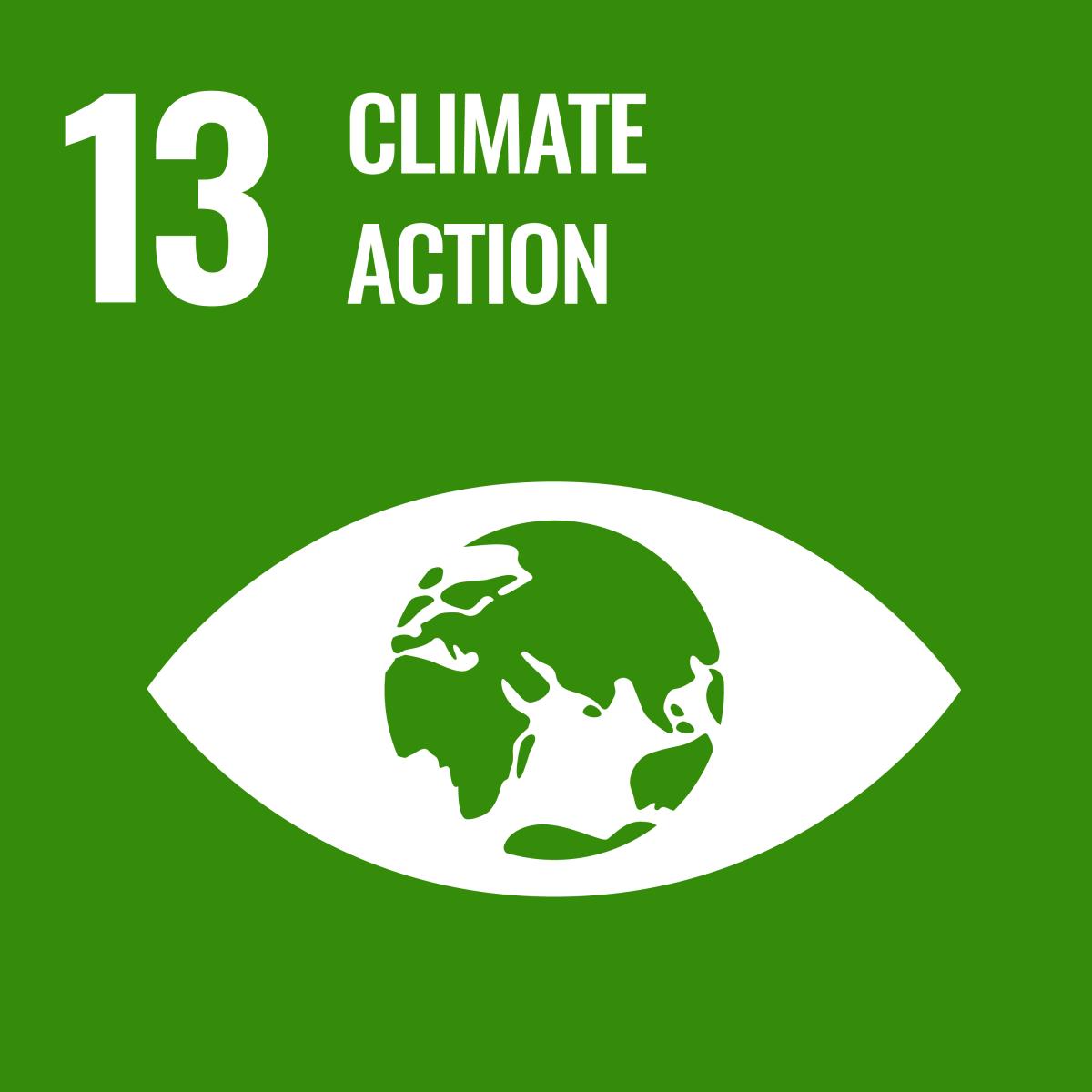 SDG 13 - Climate Action icon