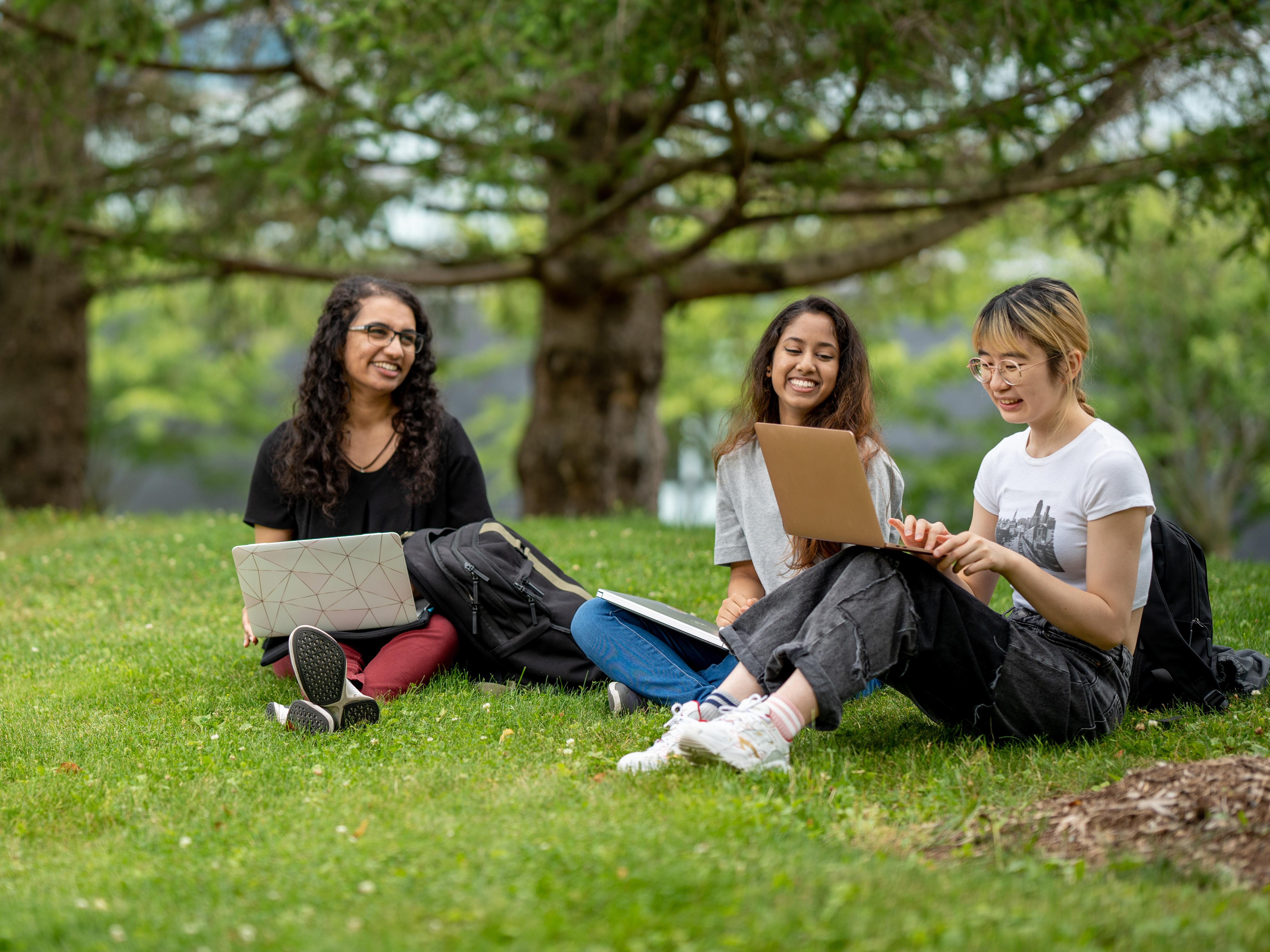Three students outside under a tree, working on laptops and chatting.
