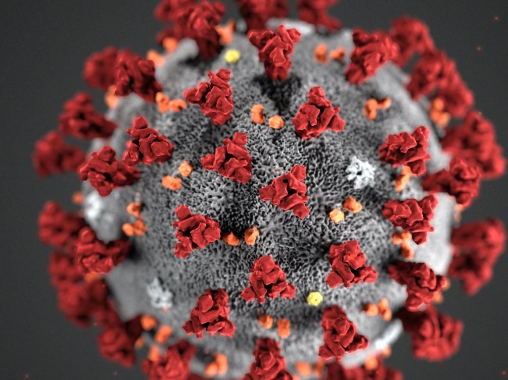 closeup of covid virus