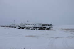 Out-on-the-Tundra-Buggies-in-Churchill-Manitoba
