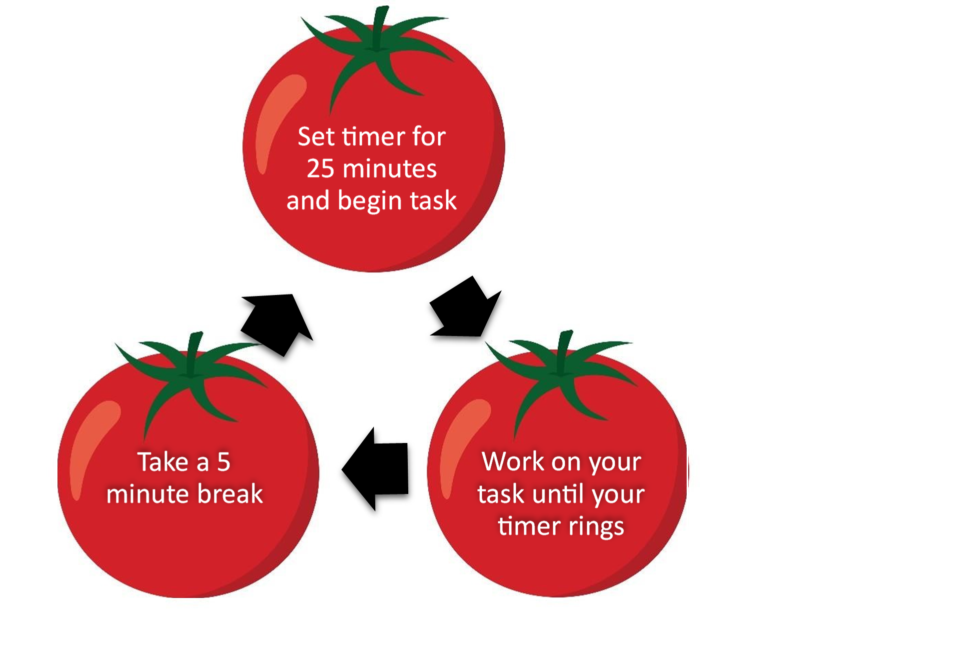 The tomatoes reflecting time in the Pomodoro Method